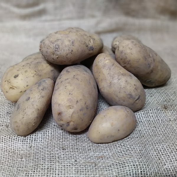 aardappel Gold Marie 1Kg