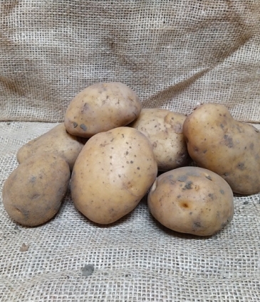 aardappel Bintje 2,5Kg